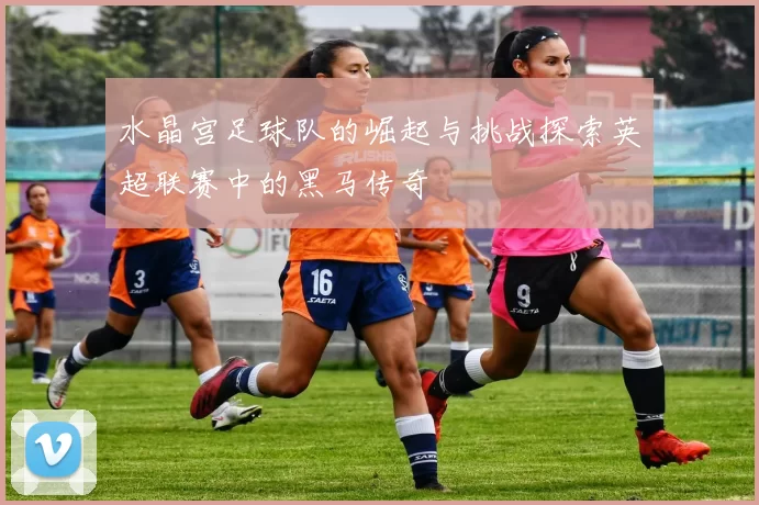 水晶宫足球队的崛起与挑战探索英超联赛中的黑马传奇