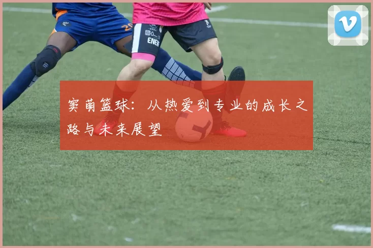 窦萌篮球：从热爱到专业的成长之路与未来展望
