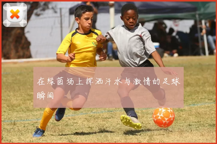 在绿茵场上挥洒汗水与激情的足球瞬间
